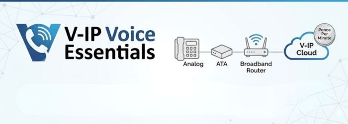 Single Line Voice options